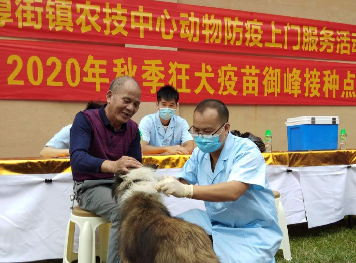 厚街狂犬病免疫.jpg