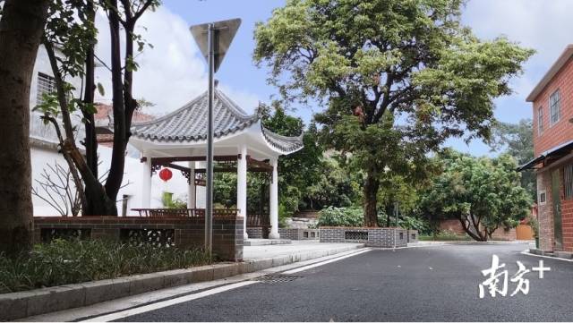 滘联社区如今村民更富、家乡更美、民心更暖。
