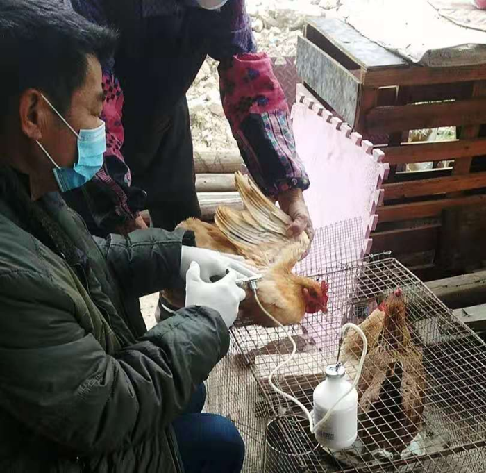 2020年春季防疫1.jpg