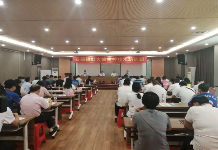 石碣红火蚁防控.jpg