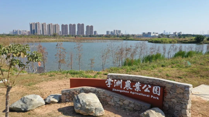 掌洲农业公园.jpeg