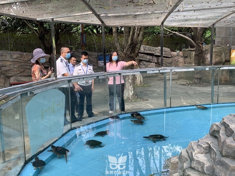 执法人员现场检查养殖场所内的水生野生保护动物0.jpg