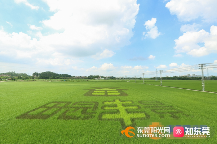 微信图片_20210916092823.jpg