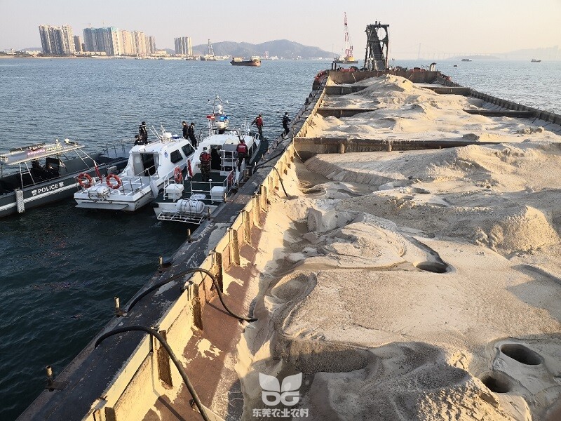 “猎砂”行动21111.jpg