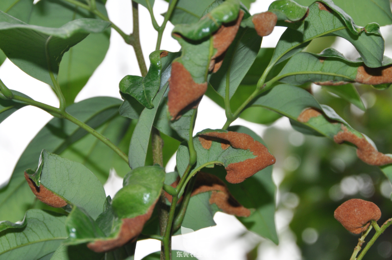image029.png