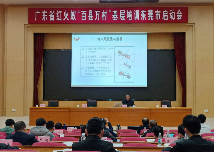1.17红火蚁培训.jpg