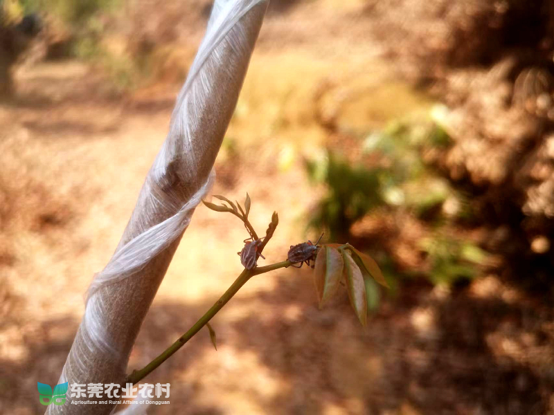 微信图片_20220413165359_副本.jpg