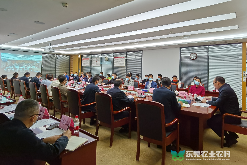 01c9f69ad86caed078655e2b72d89ea_副本.jpg