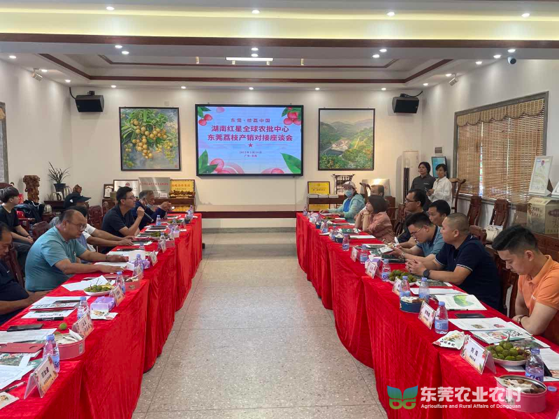 我市举办首场东莞荔枝产销对接活动.jpg