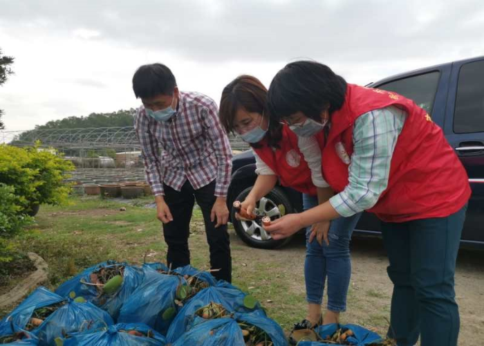 荷花.jpg