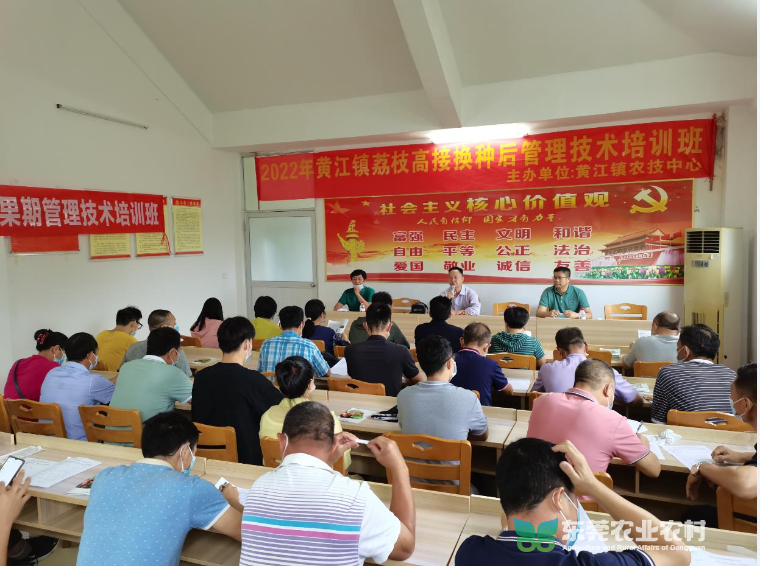 高接后培训图片1.jpg