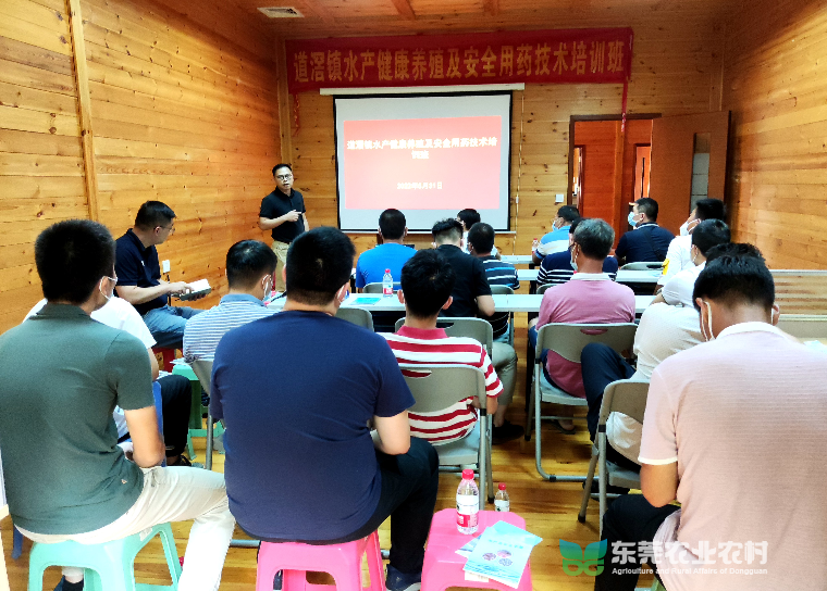 1653985091837054986.jpg 1653985091837054986.jpg