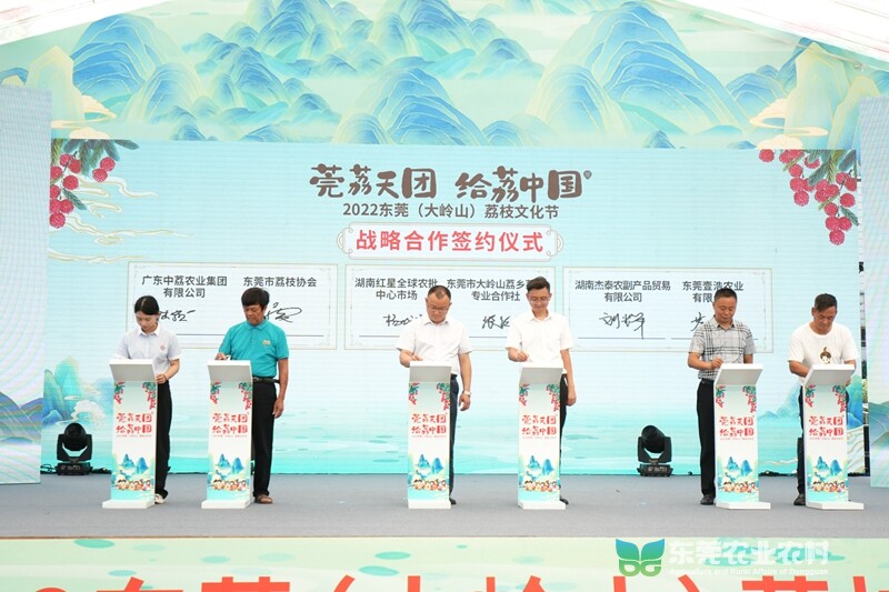 签约仪式.jpg