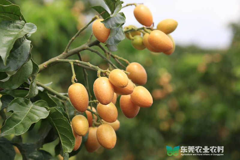 K61A3585_副本.jpg