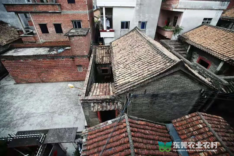 14.png