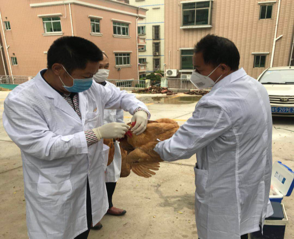 已编辑图片