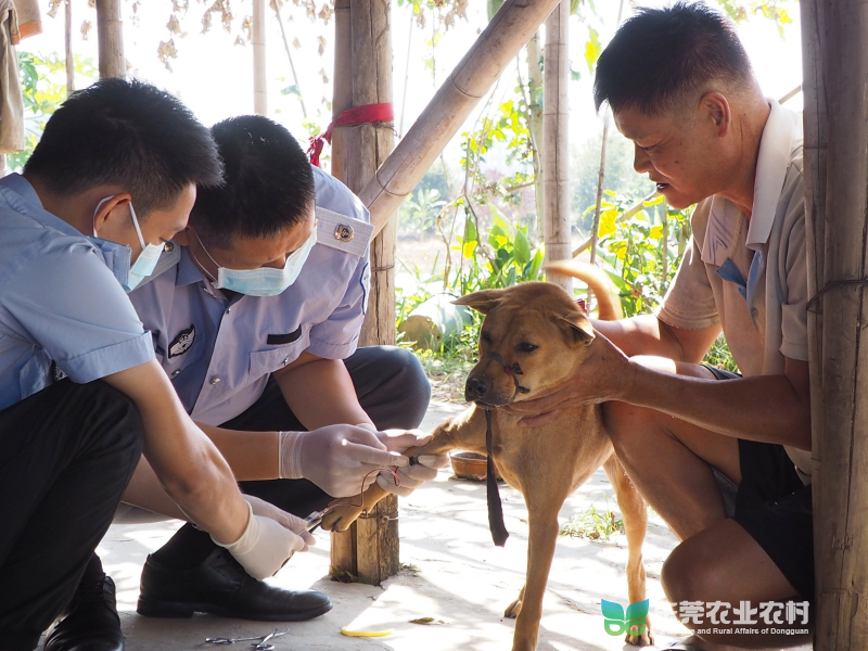 http://app.dg.gov.cn/nj/res/upload/image/20221011/1665480315081092326.jpg