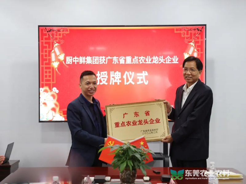 已编辑图片