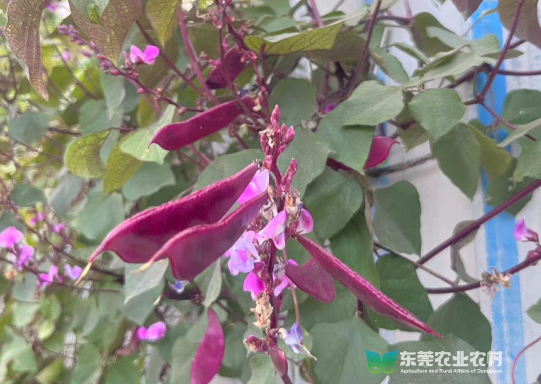 微信图片_20221121150934.jpg