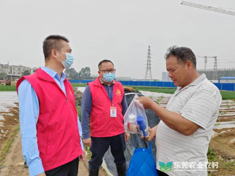f18ec4d1-6ada-4ec6-9331-f4588c36a6ec.jpg