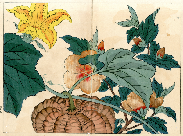 《四季の花》画册内页插画.jpg