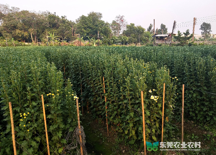 1679283766229070560.jpg 1679283766229070560.jpg