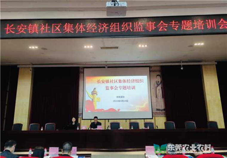 审计科工作信息图.jpg