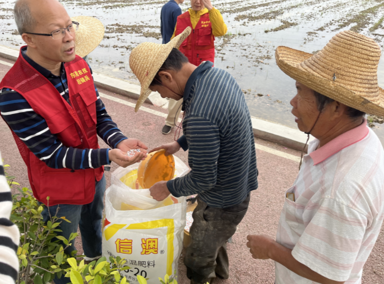 农技办党员服务队深入田间地头指导种植户科学用肥.jpg