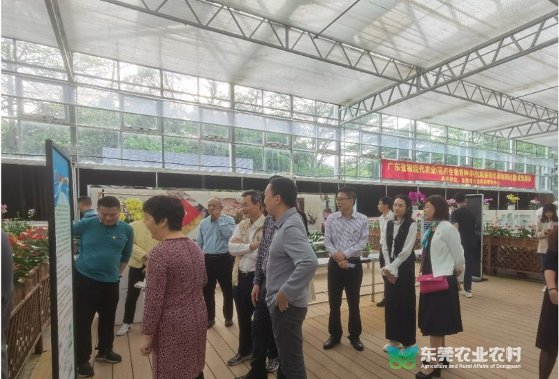 参观现代农业科普展示温室.png