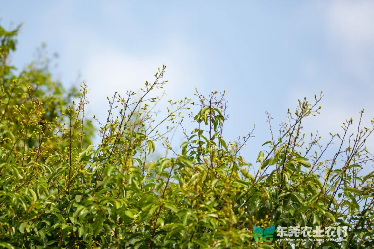 微信图片_20230420100812.jpg