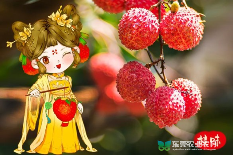 图片2.jpg