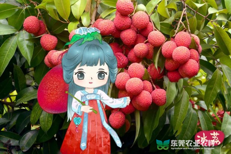 图片4.jpg