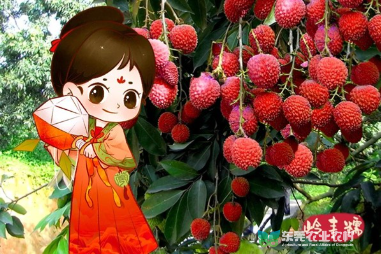 图片6.jpg