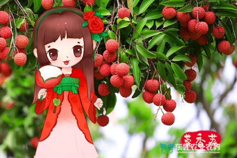 图片7.jpg
