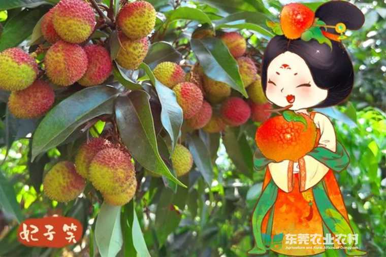图片8.jpg