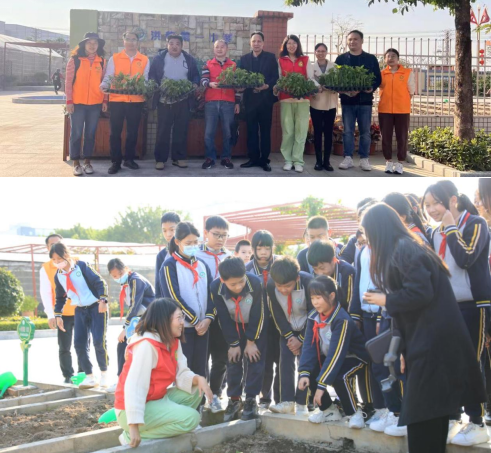 6服务洪梅镇第一小学春耕现场.png