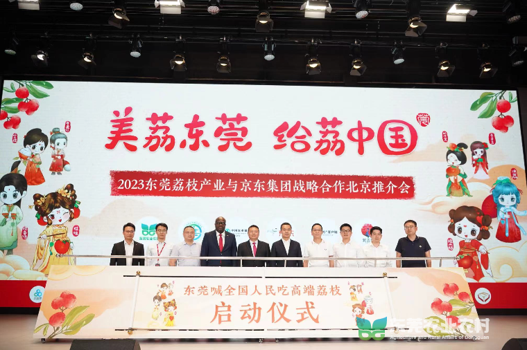 已编辑图片