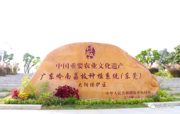 已编辑图片