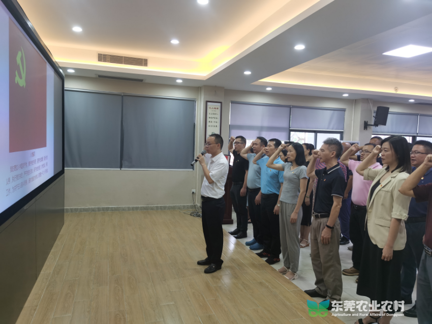 全体党员重温入党誓词.jpg
