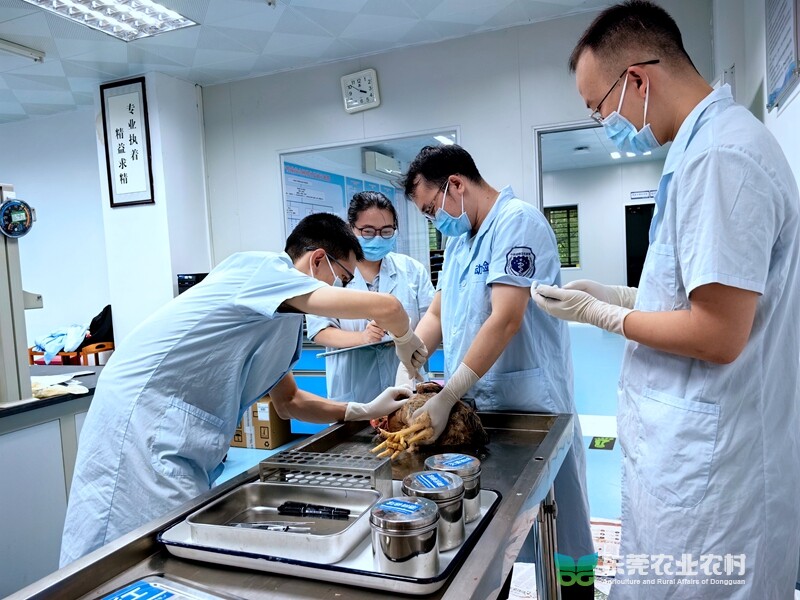 微信图片_20230923005201_副本.jpg