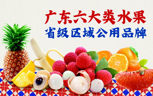 广东打造六大水果区域公用品牌.jpg
