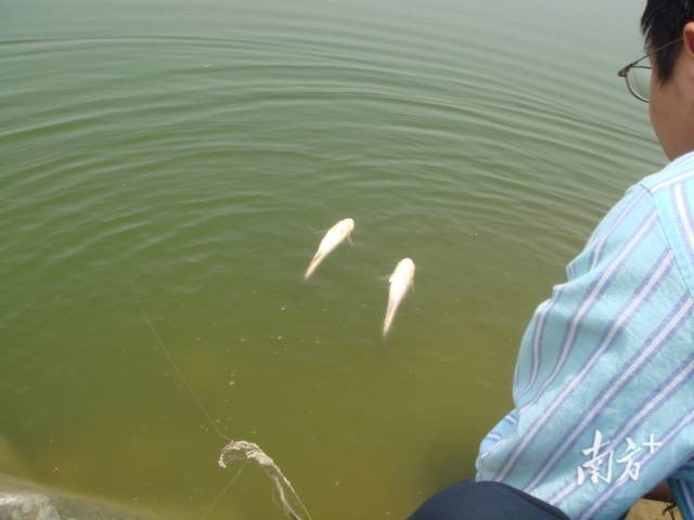 77dd580dd3534044bce76d68050a175d_batchwm.jpg