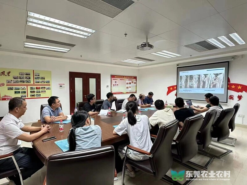 图片2_副本.jpg
