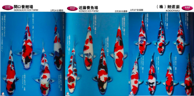 819153e2-f695-4f6a-ad90-297b754df041.png