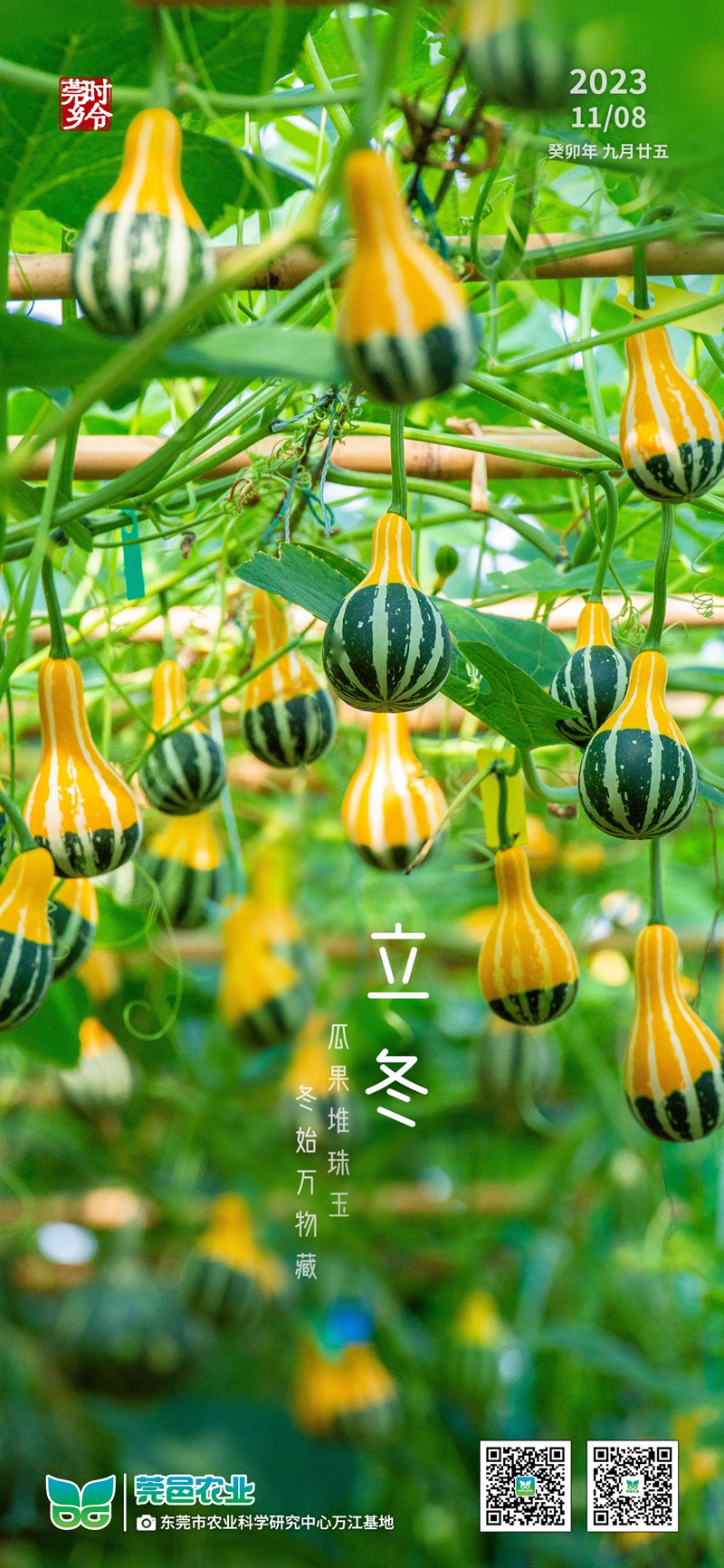 立冬1 拷贝_副本.jpg