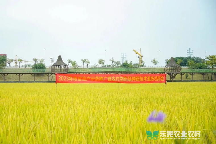 已编辑图片