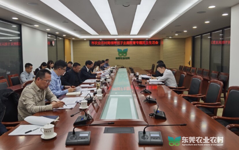 市农业农村局领导班子召开学习贯彻习近平新时代中国特色社会主义思想主题教育专题民主生活会1.jpg