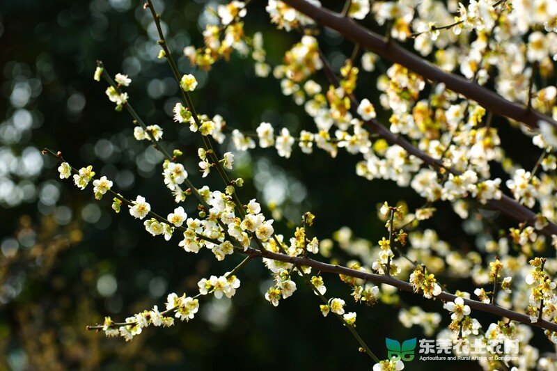 K61A405320240118_副本.jpg