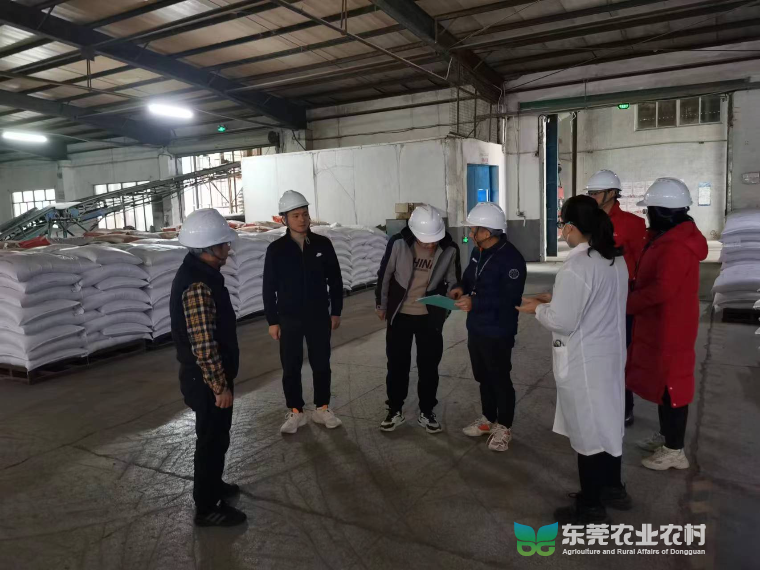 已编辑图片