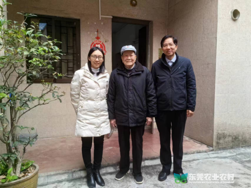已编辑图片